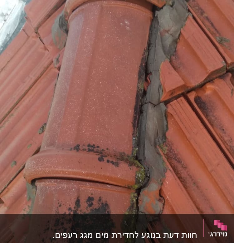 רעפים אדומים עם טחב על גג